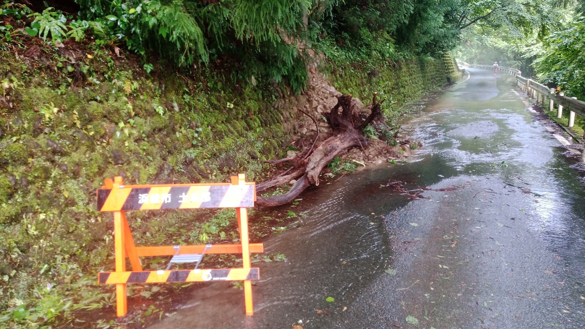 終章 感謝 水窪 浜松160kmウルトラマラニック 07 04 05 Smさんの浜松市 中区 東区 南区 西区 の活動日記 Yamap ヤマップ