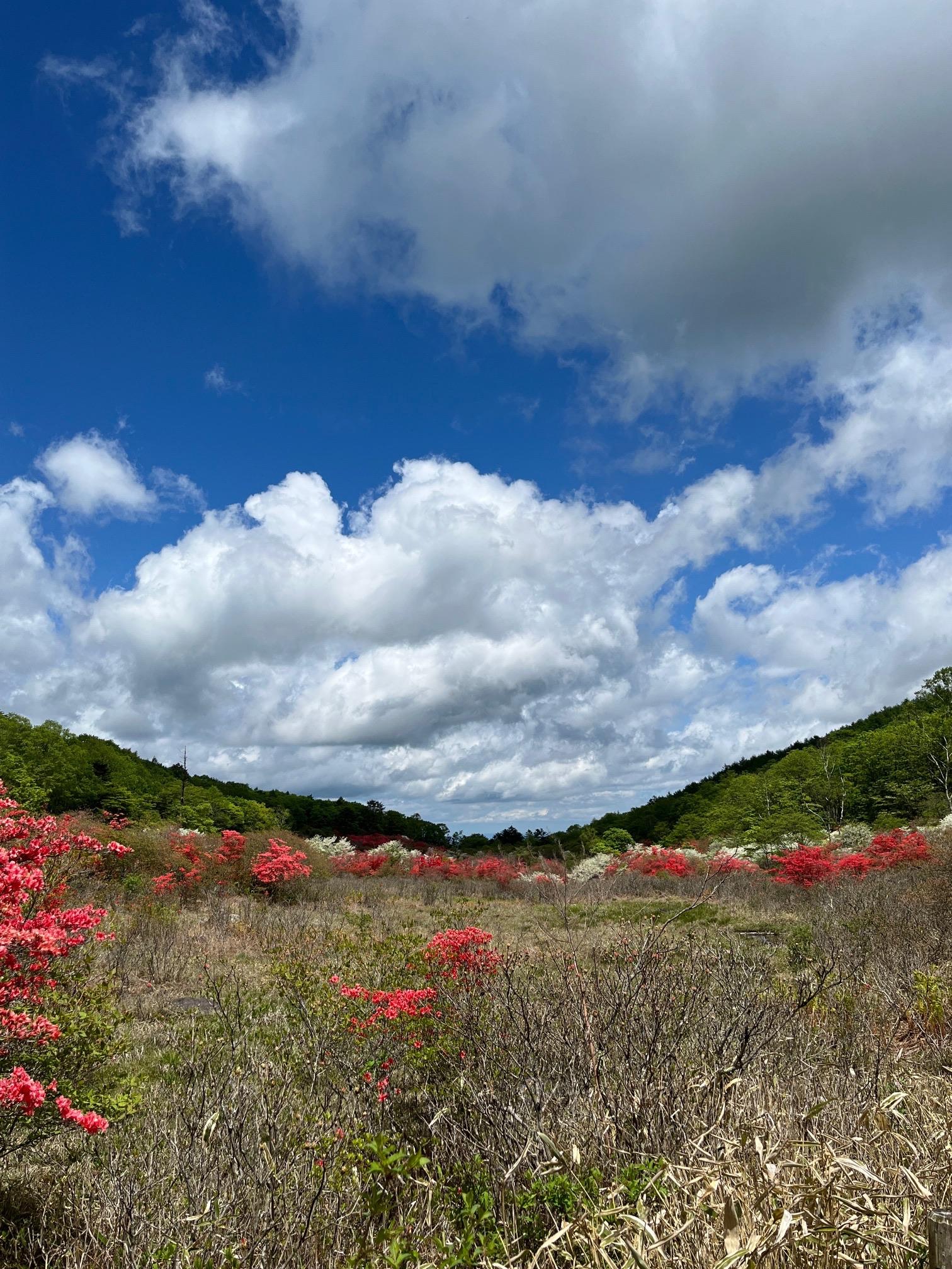 横根山 / ワンワンさんの横根山・方塞山・井戸湿原の活動データ YAMAP / ヤマップ