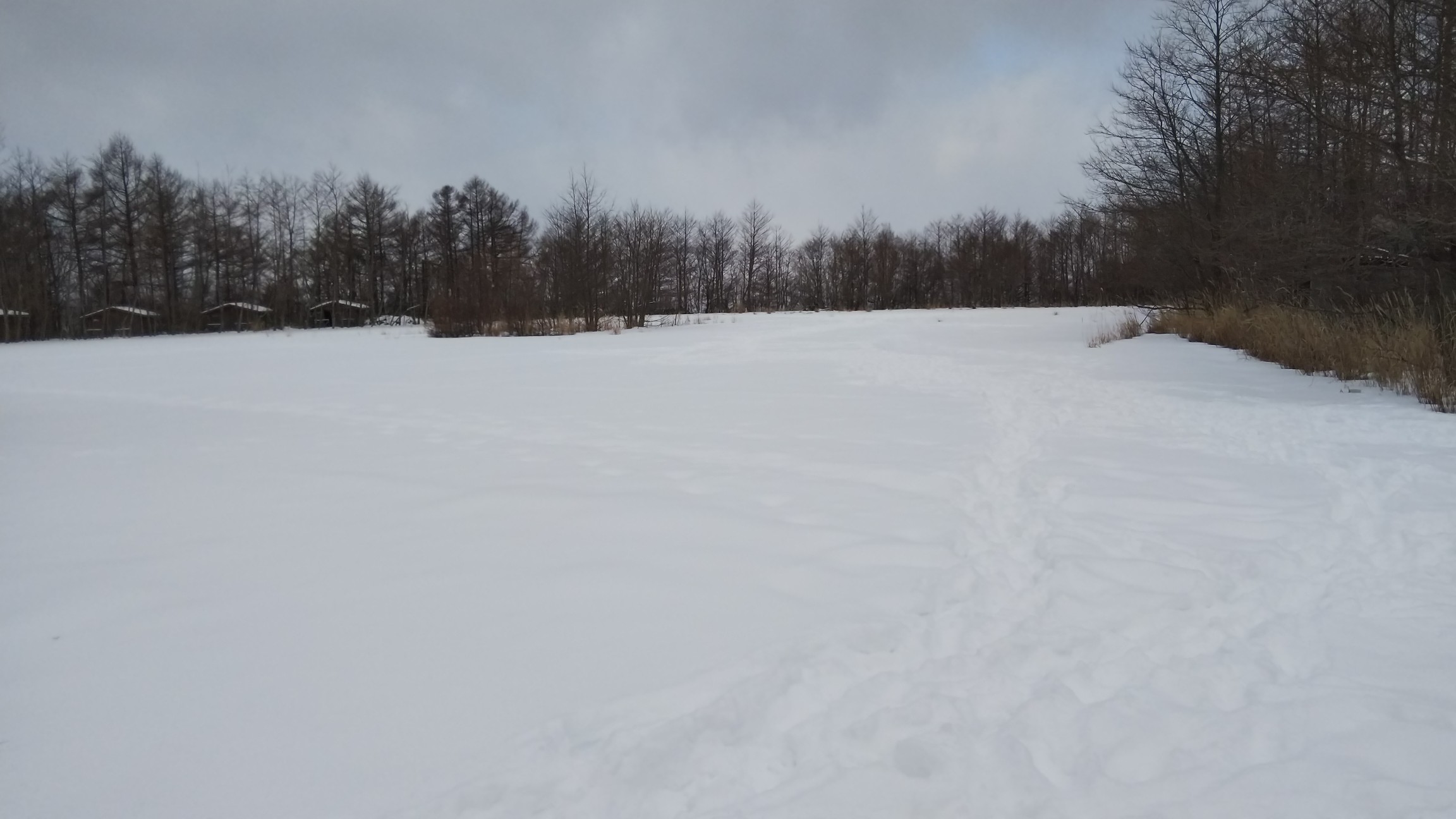 旧駐車場～雪で真っ白
