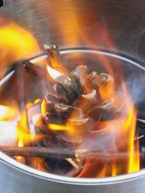 松ぼっくりは便利 状態のよい松ぼ Kazさんのモーメント Yamap ヤマップ