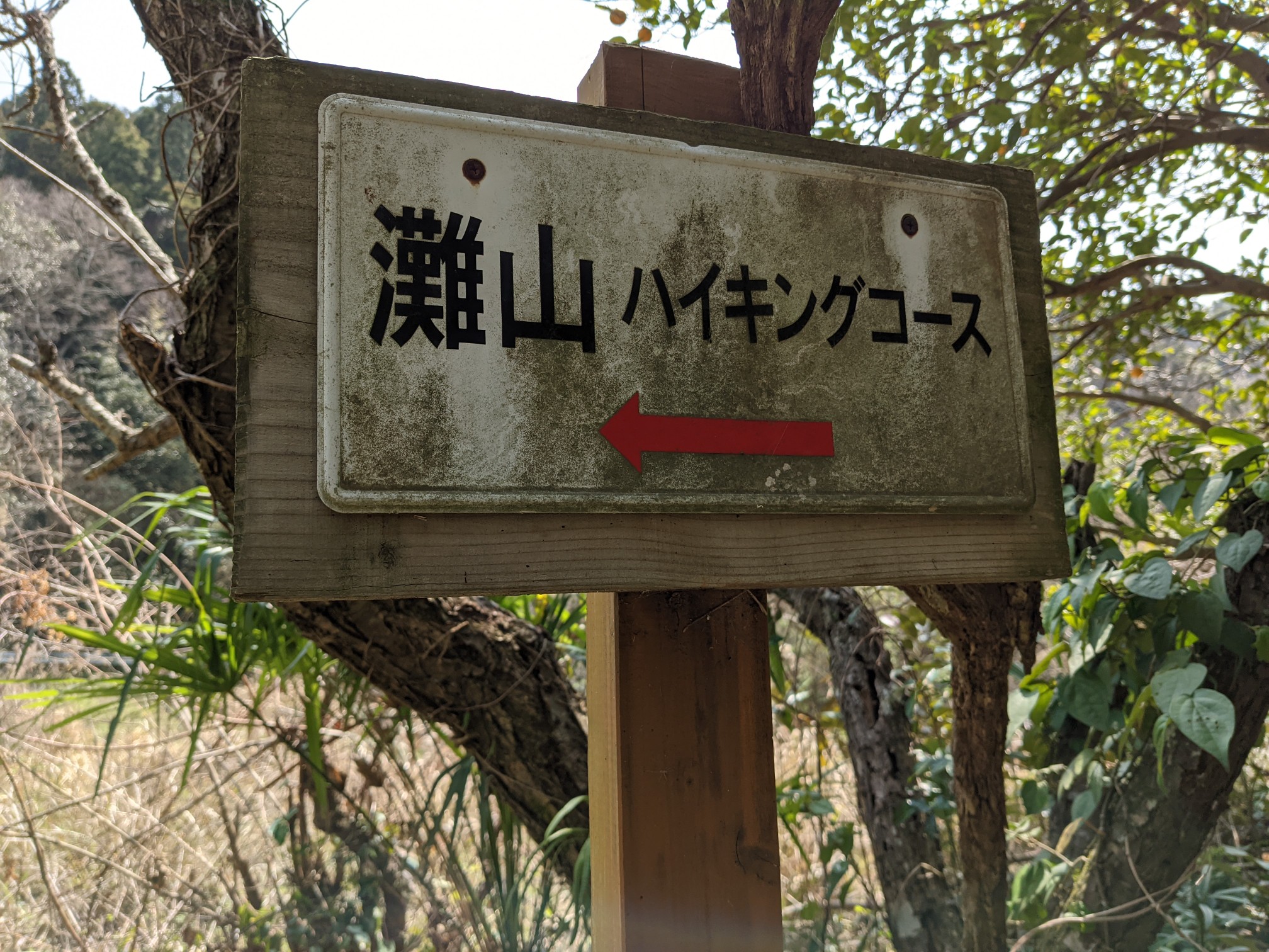 灘山 / utaさんの灘山の活動データ YAMAP / ヤマップ