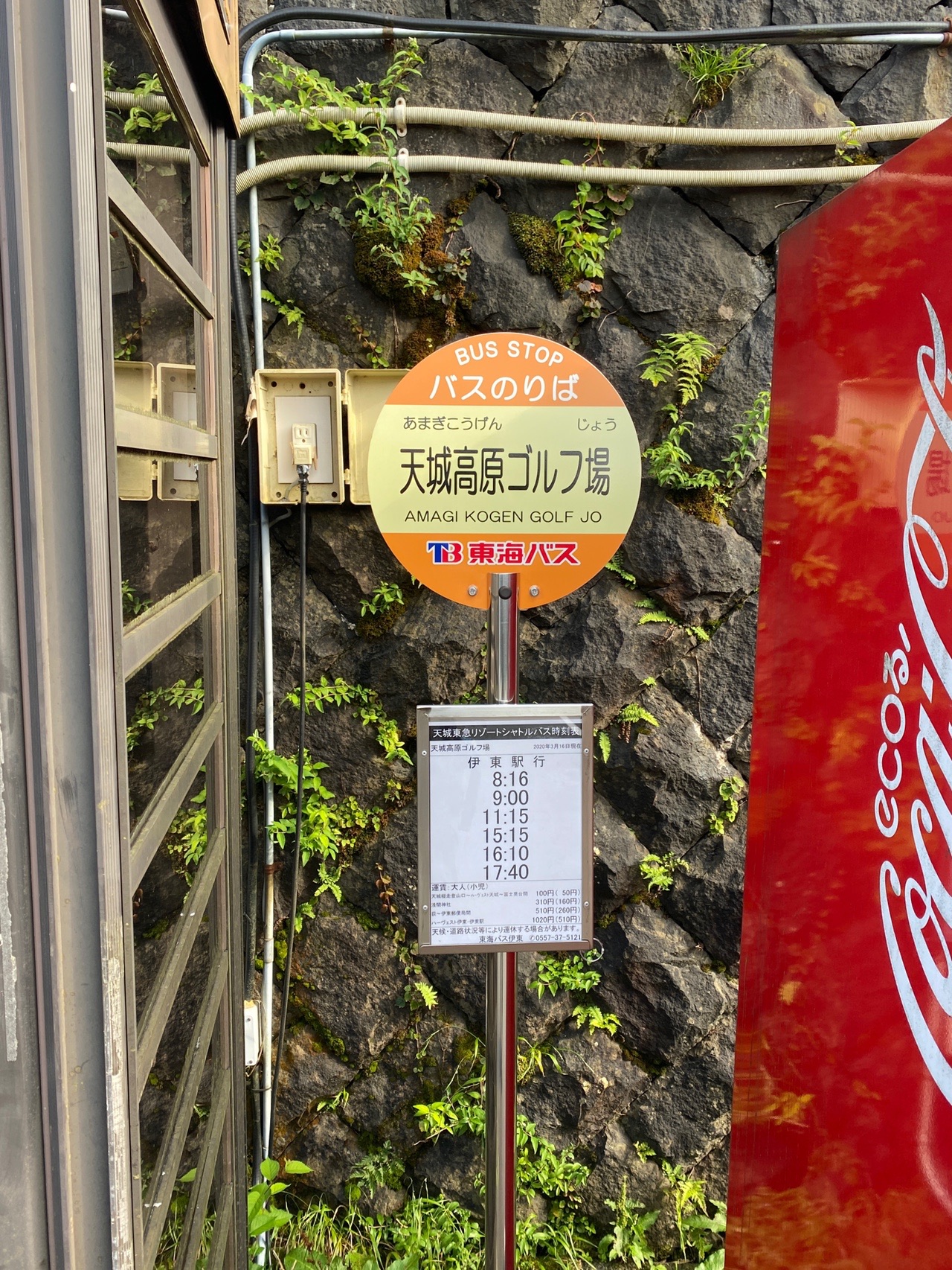 天城山 何があってももういいの ん ゆうさんさんの天城山 鉢ノ山 三筋山の活動日記 Yamap ヤマップ