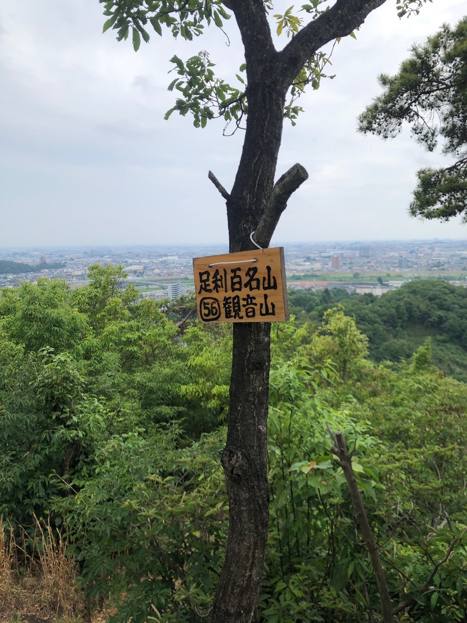 両崖山・仙人ヶ岳・石尊山 これが最後の観音山