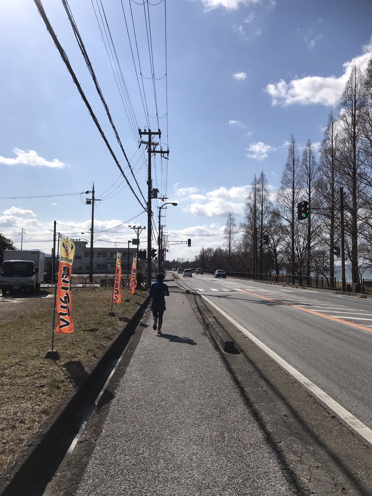 さざなみ街道を行く 琵琶湖 02 11 ひろっピーさんの佐和山 弁天山の活動日記 Yamap ヤマップ