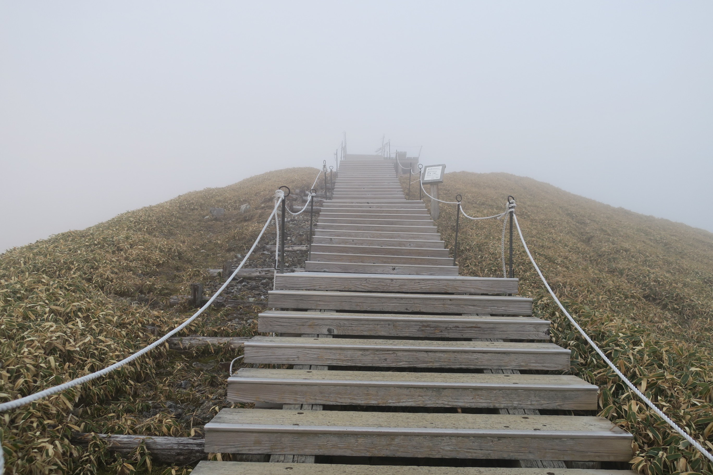 無料ダウンロード かっこいい 階段 登る イラスト 史上最高の写真コレクション