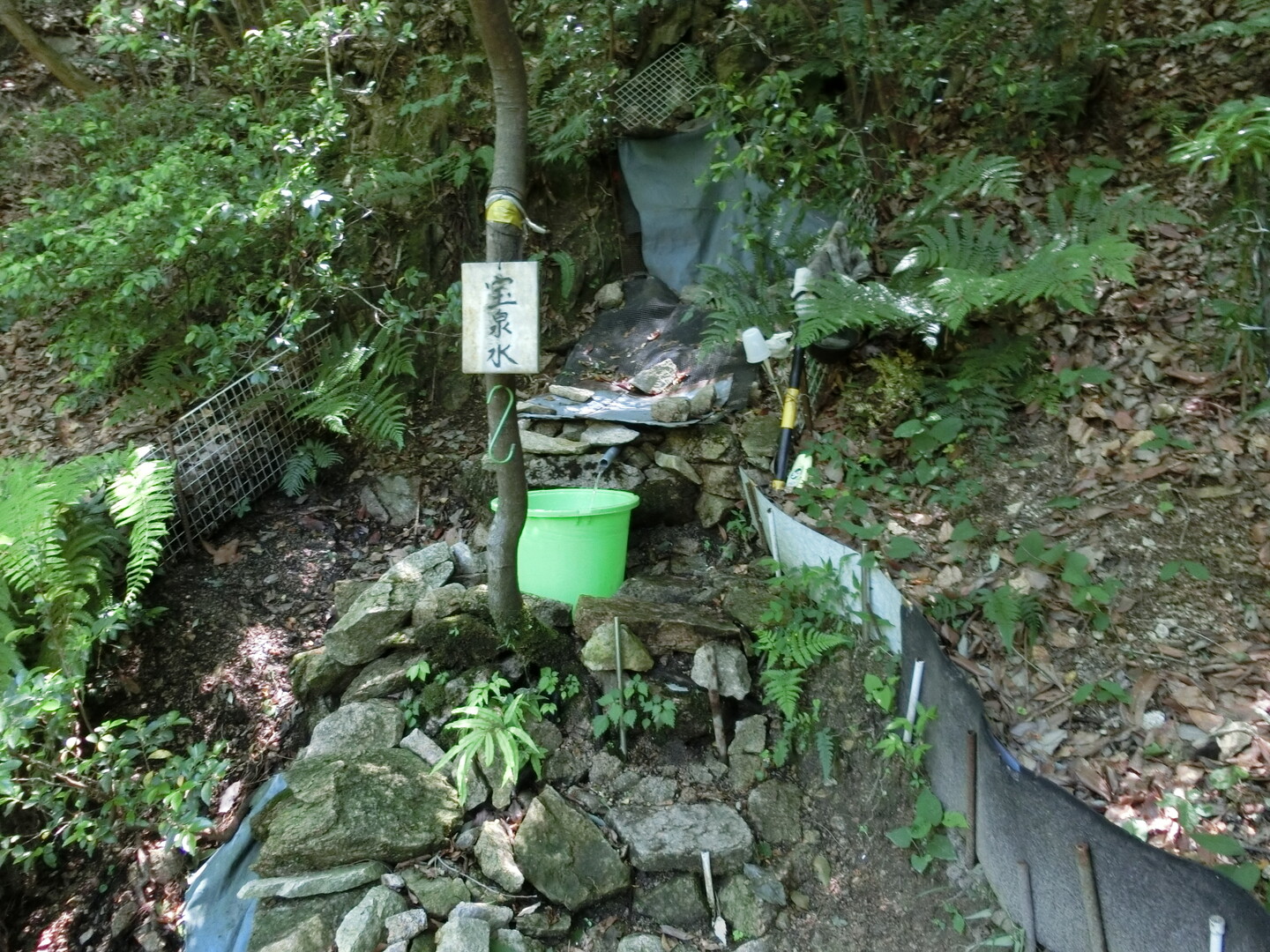 高座の滝～高座谷～奥高座滝～荒地山 / 六甲山・長峰山・摩耶山の写真21枚目 / 宝泉水です。おいしいです。 YAMAP / ヤマップ