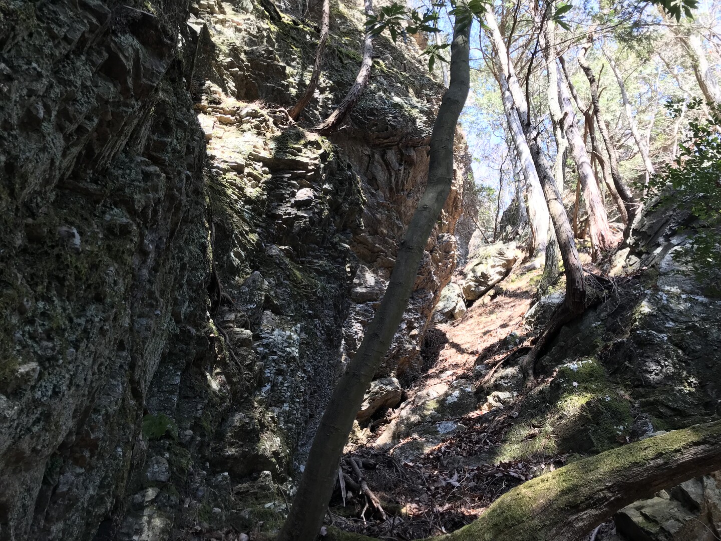 板荷駅～かまど倉～マルボ / okushirane2さんの鶏鳴山・笹目倉山の活動データ YAMAP / ヤマップ