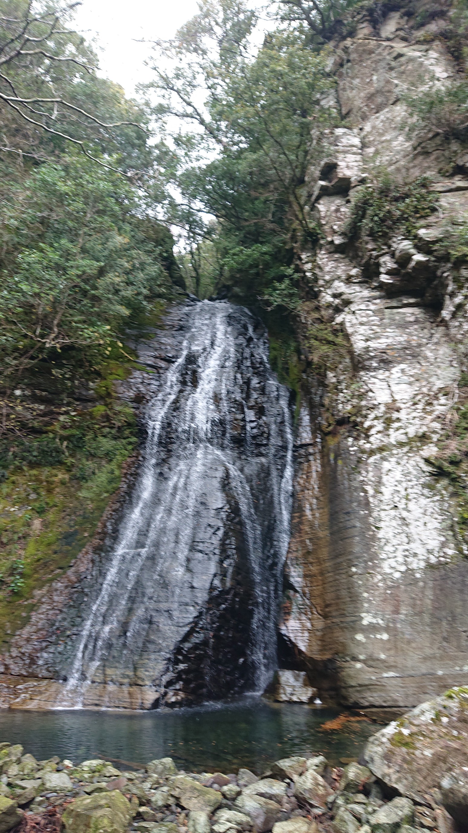 大辺路 紀伊日置駅から紀伊田辺駅 19 03 28 Tarumaniadevilさんの熊野古道 大辺路 富田坂の活動データ Yamap ヤマップ