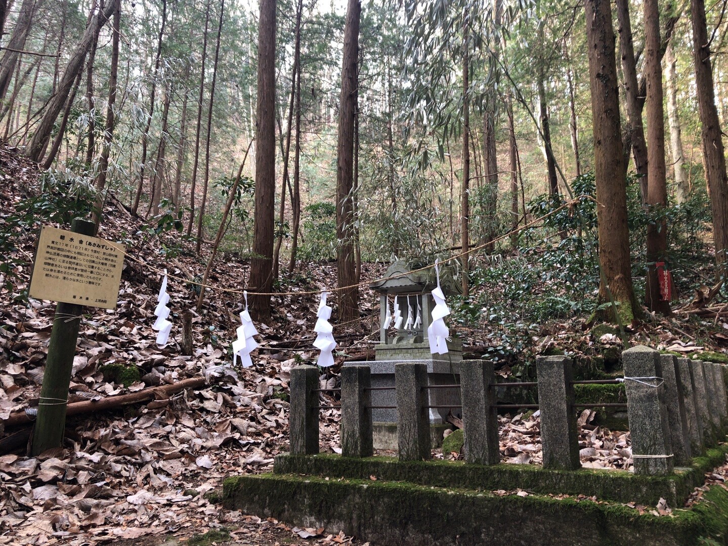 蝋梅咲く羽黒山神社を散策 羽黒山 栃木県 の写真8枚目 朝水舎 Yamap ヤマップ