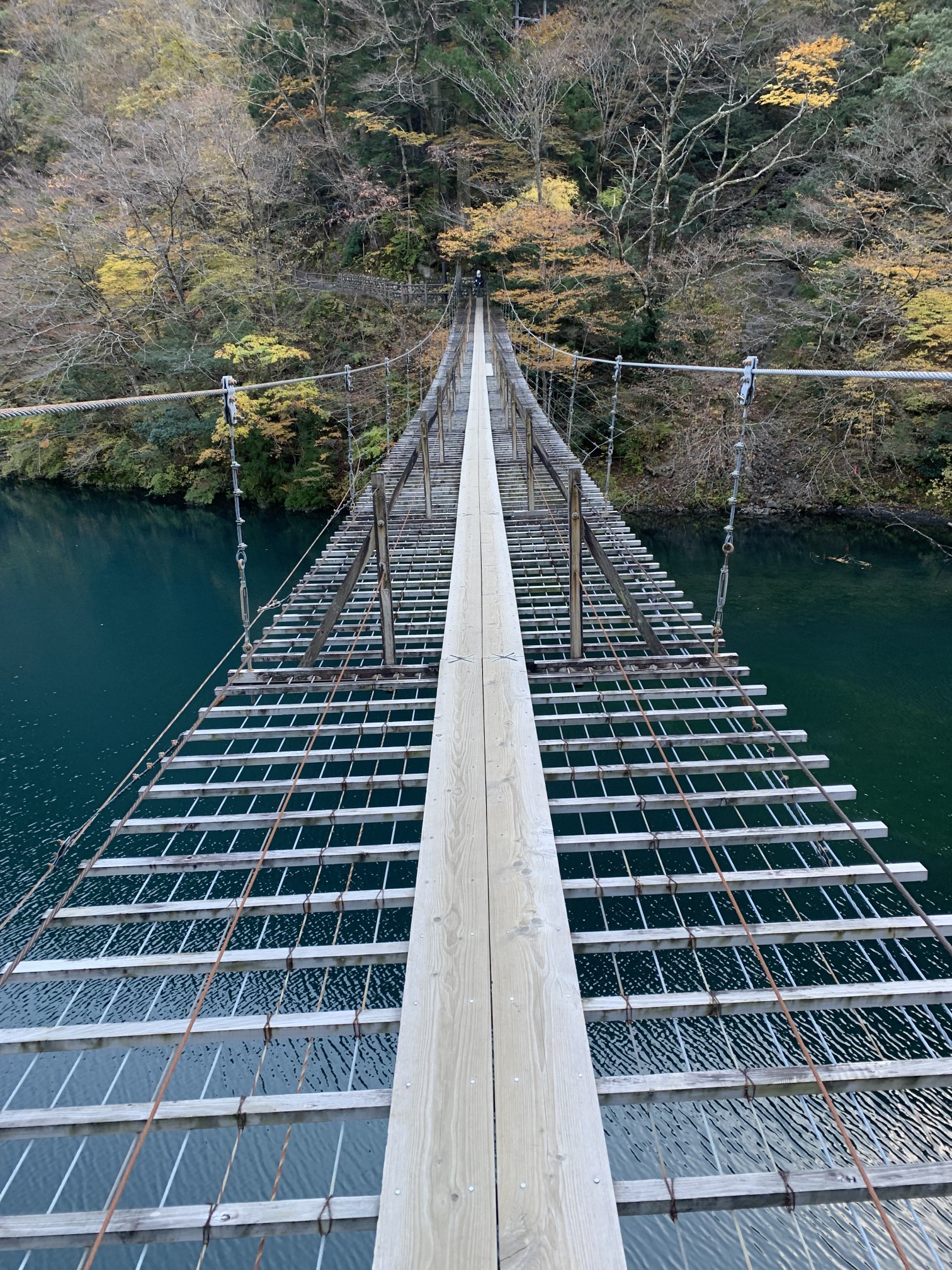 寸又峡 夢の吊橋 外森山 グッチさんの朝日岳の活動日記 Yamap ヤマップ