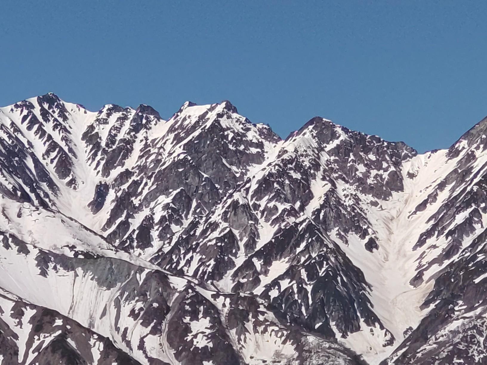 花と眺望の白馬岩岳 ねずこの森はカタクリ満開🌸 / 白馬岳・小蓮華山の  