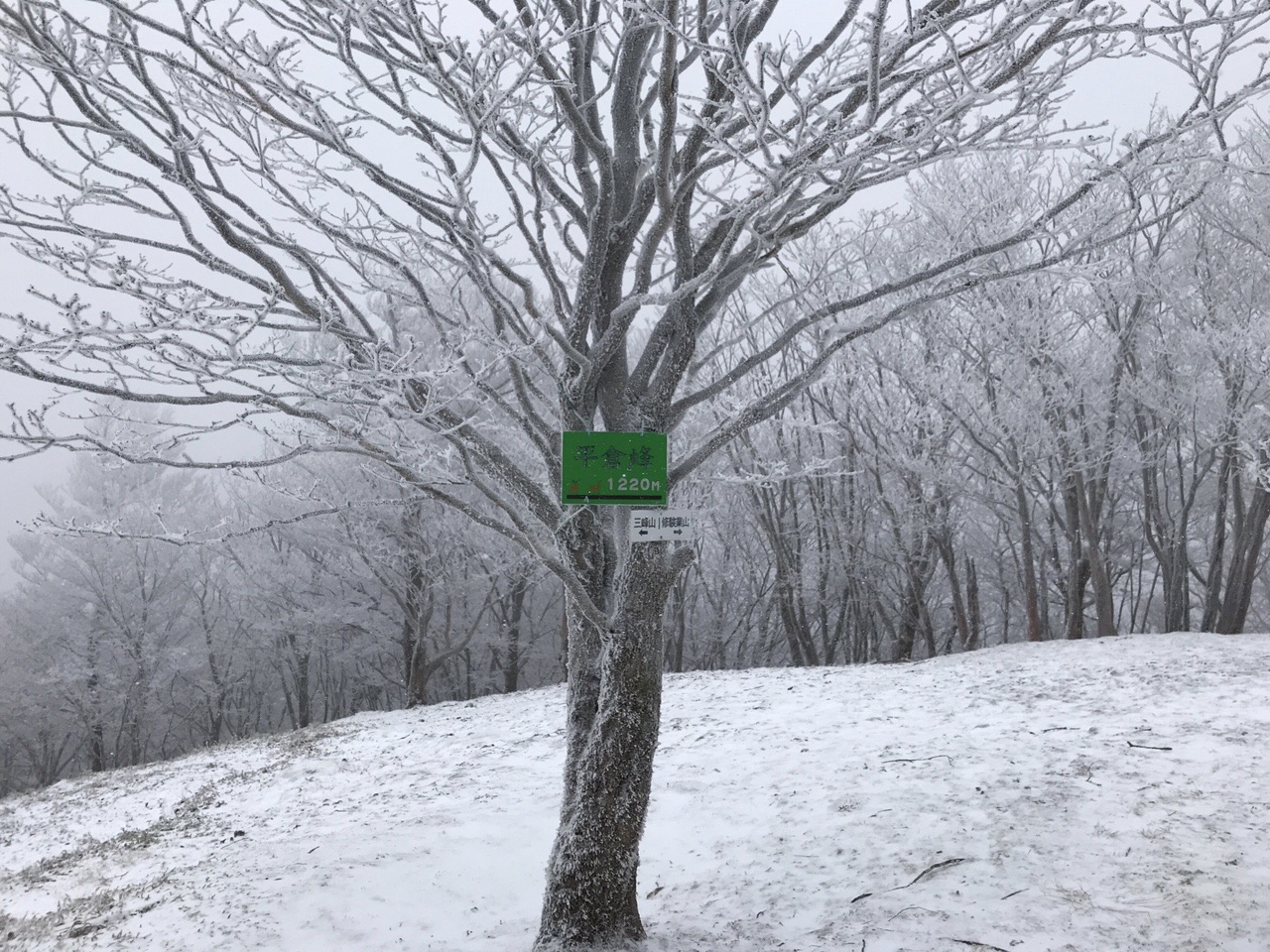 霧氷号で三峰山 霧氷あったよ 小作さんの三峰山 学能堂山の活動データ Yamap ヤマップ