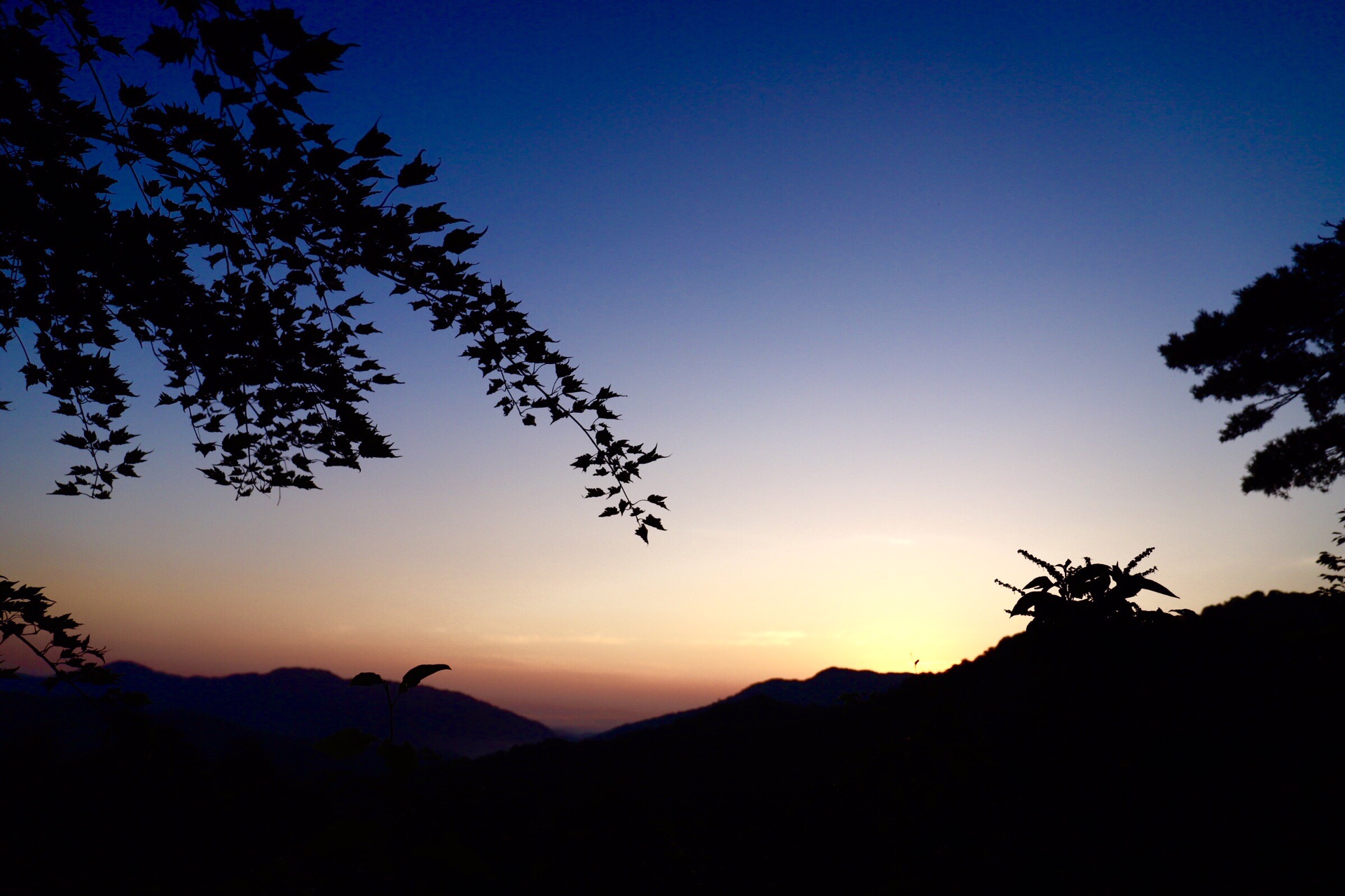 大朝日岳 古寺鉱泉から古寺山 鳥原山周回 19 08 18 Rossiさんの大朝日岳 朝日連峰 祝瓶山の活動データ Yamap ヤマップ