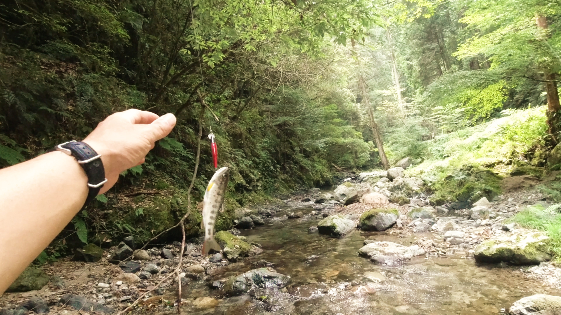 渓流釣り 高山川 ささおかさんの久地冠山 尻高山の活動データ Yamap ヤマップ