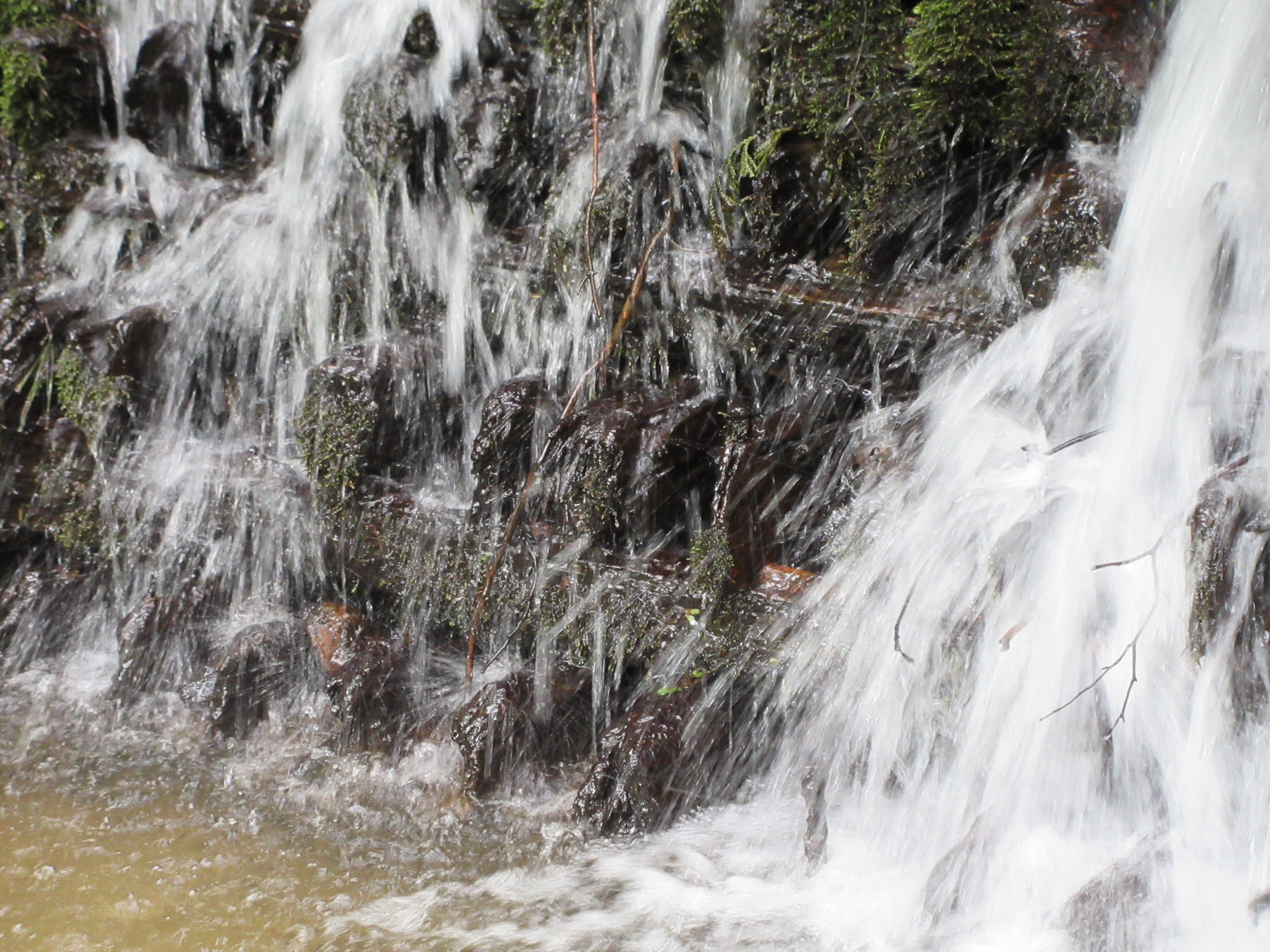 坪毛沢ヒバ堰堤 林業遺産 五所川原市飯詰 21 05 27 Chairo Usagiさんの五所川原市の活動データ Yamap ヤマップ