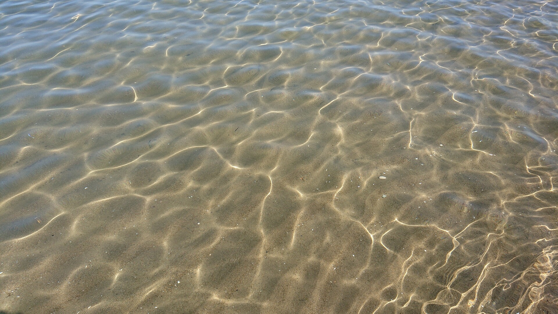 内灘海岸 わたしたちの海の日 08 19 Hamapu さんの金沢市の活動データ Yamap ヤマップ