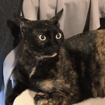 ただひたすら可也山へ登り続ける人