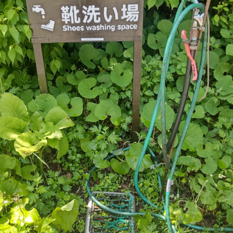 電車に乗るので、ドロだらけの靴を洗う