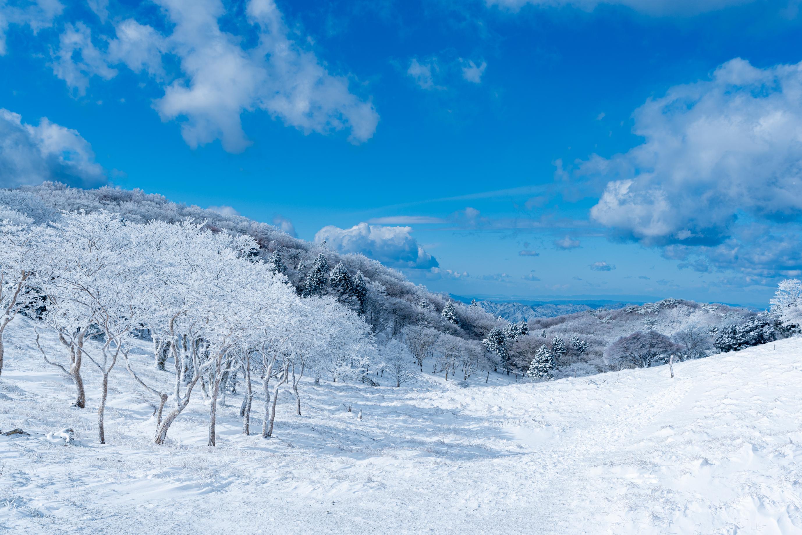 三峰山 霧氷 Nomuraさんの三峰山 学能堂山 栗ノ木岳の活動データ Yamap ヤマップ